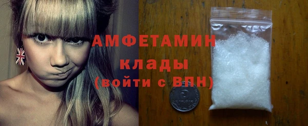 крисы Елабуга
