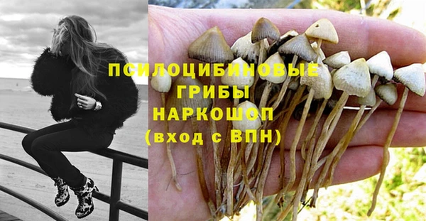 тгк Заволжск