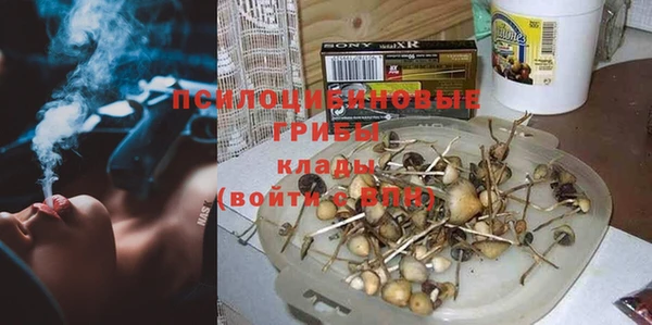 экстази Заводоуковск