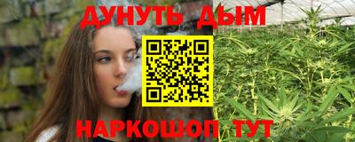 трава Гатчина
