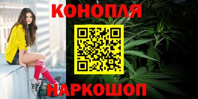 трава Гатчина