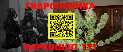трава Гатчина