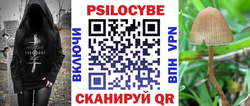 блэк спрут ссылка  Серпухов  Галлюциногенные грибы Magic Shrooms  наркотики 