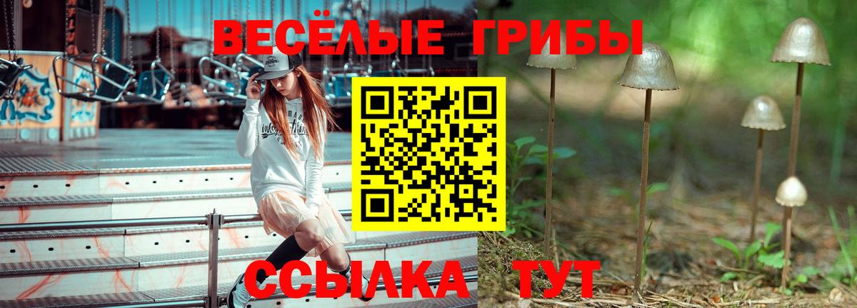 купить закладку  Вход с VPN  Серпухов  Псилоцибиновые грибы Psilocybe 